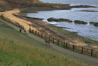 Crail (Roome Bay)